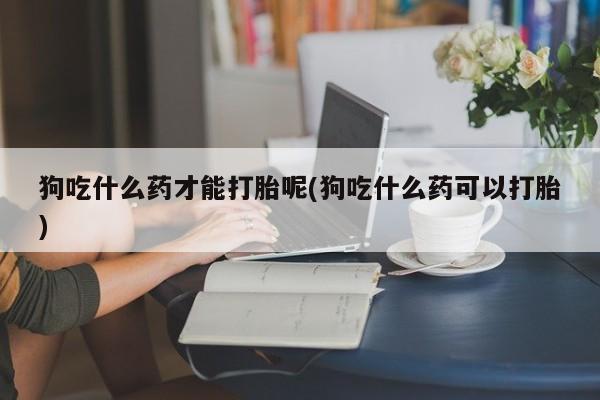 私人卖打胎药微信号狗吃什么药才能打胎呢(狗吃什么药可以打胎)