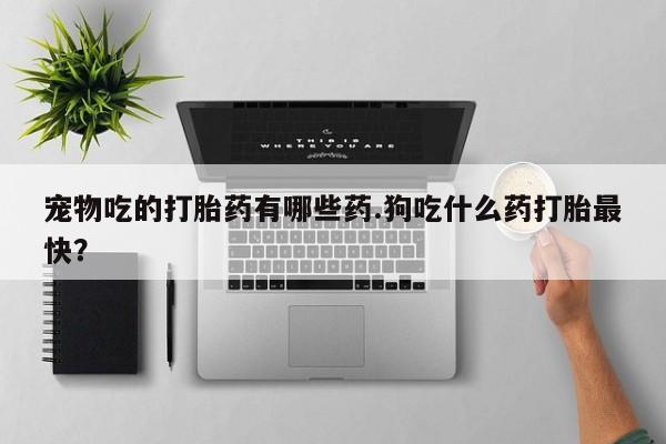 私人卖打胎药微信号宠物吃的打胎药有哪些药.狗吃什么药打胎最快？