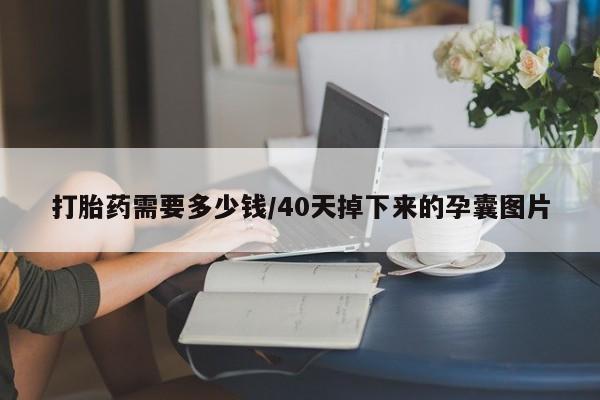 私人卖打胎药微信号打胎药需要多少钱/40天掉下来的孕囊图片