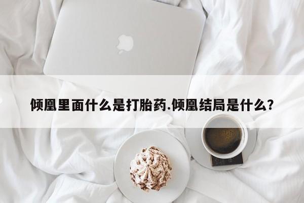 私人卖打胎药微信号倾凰里面什么是打胎药.倾凰结局是什么？